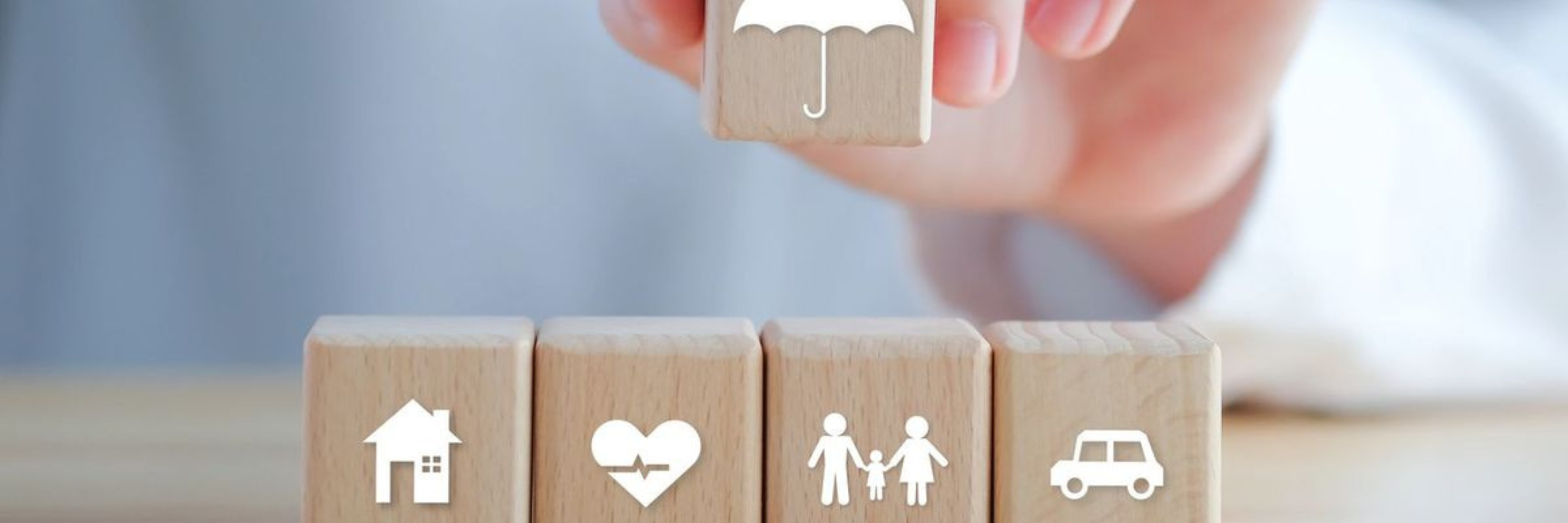 Andrea Piruchová header image