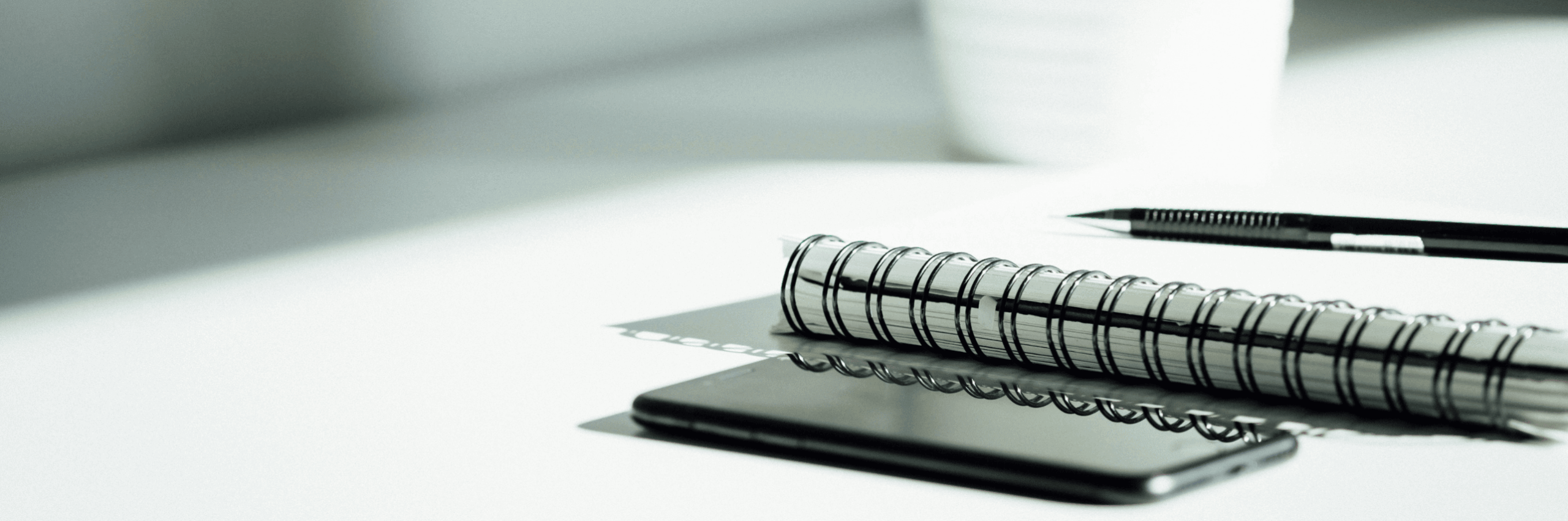 Andrea Piruchová header image