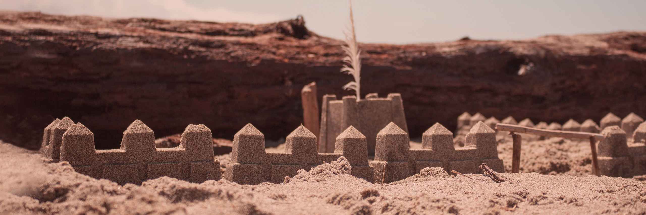 Andrea Piruchová header image